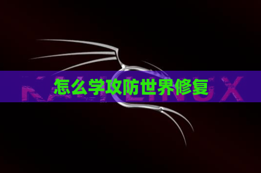 怎么学攻防世界修复
