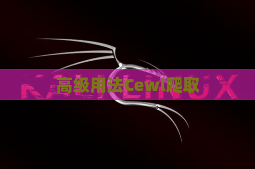 高级用法Cewl爬取