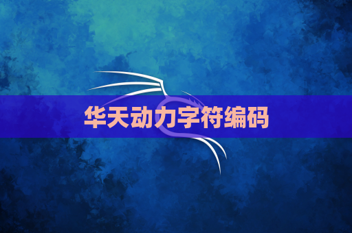 华天动力字符编码