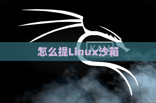 怎么提Linux沙箱