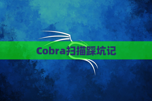 Cobra扫描踩坑记