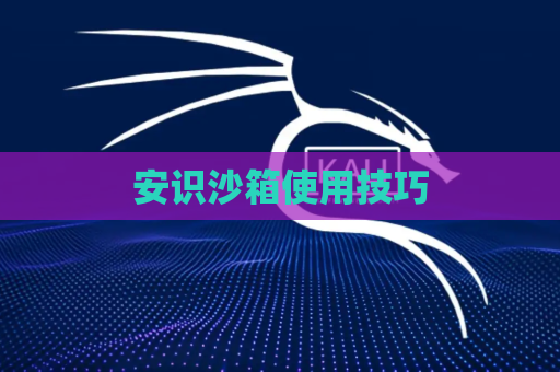 安识沙箱使用技巧