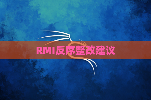 RMI反序整改建议