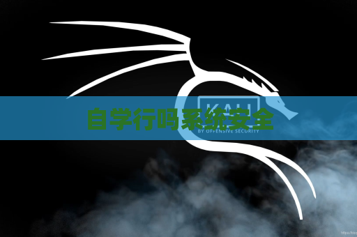 自学行吗系统安全