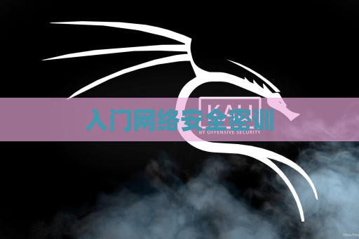 入门网络安全密训