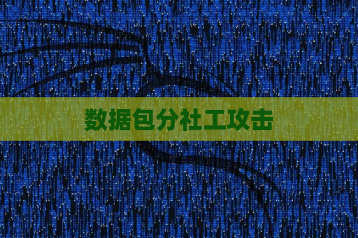 数据包分社工攻击