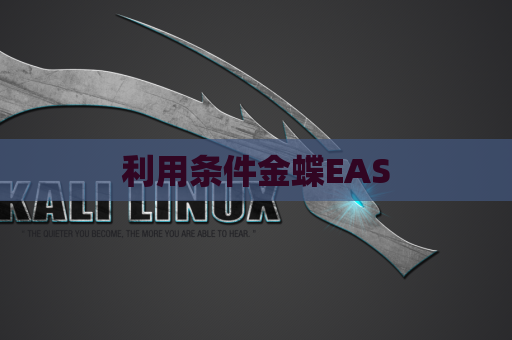 利用条件金蝶EAS