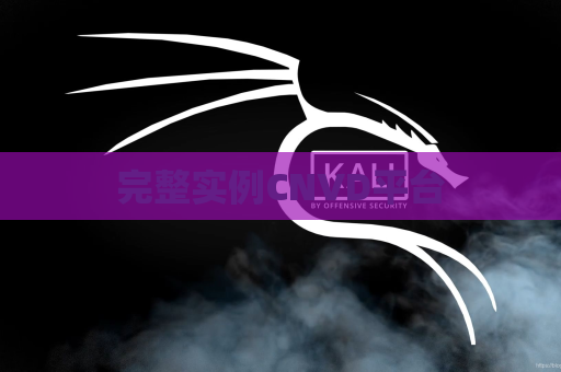 完整实例CNVD平台