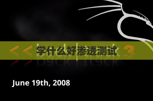 学什么好渗透测试