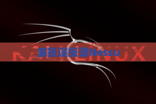 漏报误报调Nessu