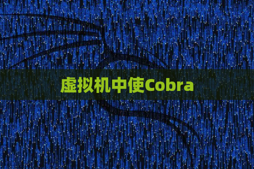 虚拟机中使Cobra