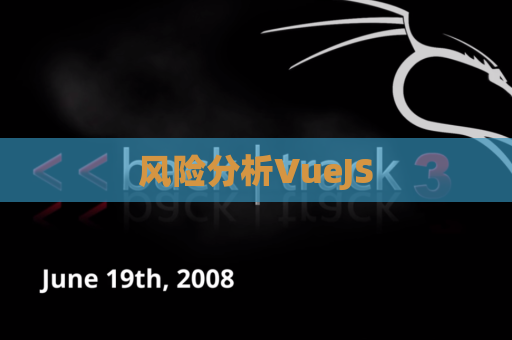 风险分析VueJS