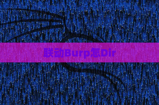 联动Burp怎Dir