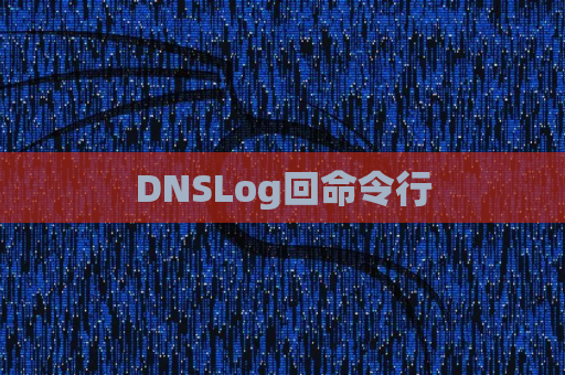 DNSLog回命令行