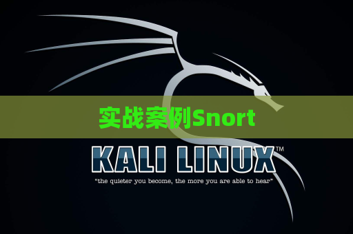 实战案例Snort