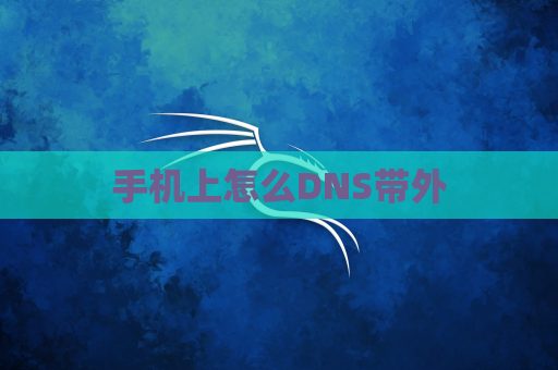 手机上怎么DNS带外