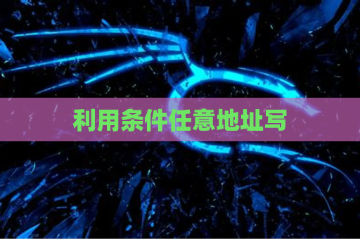 利用条件任意地址写