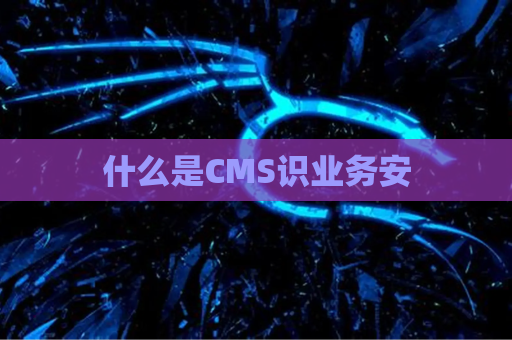 什么是CMS识业务安
