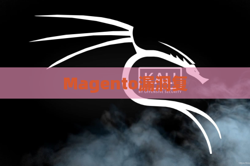 Magento漏洞复