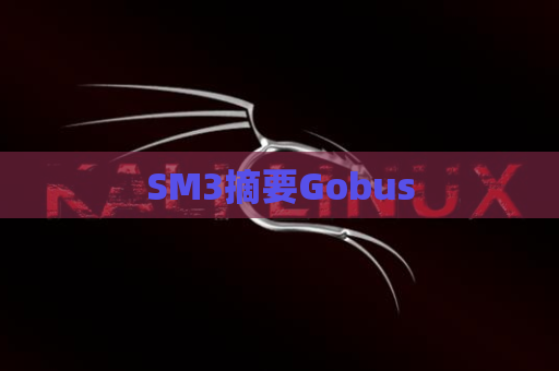 SM3摘要Gobus