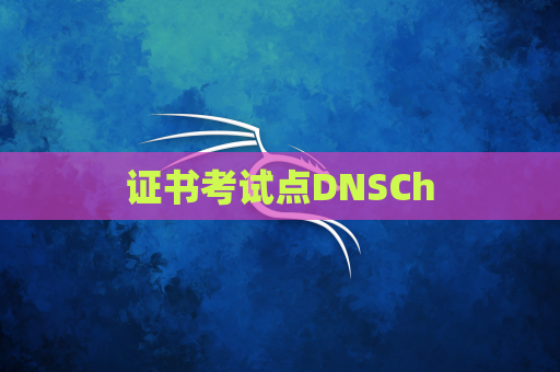 证书考试点DNSCh