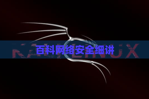 百科网络安全细讲