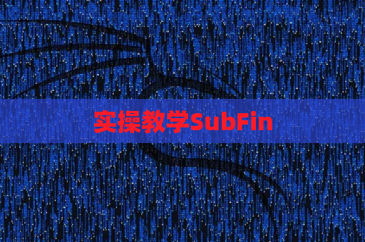实操教学SubFin