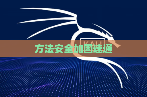 方法安全加固速通