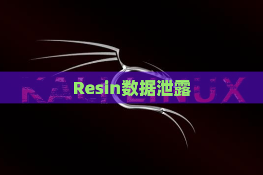 Resin数据泄露