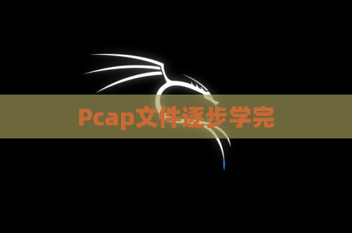 Pcap文件逐步学完