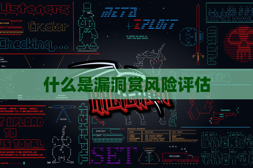 什么是漏洞赏风险评估