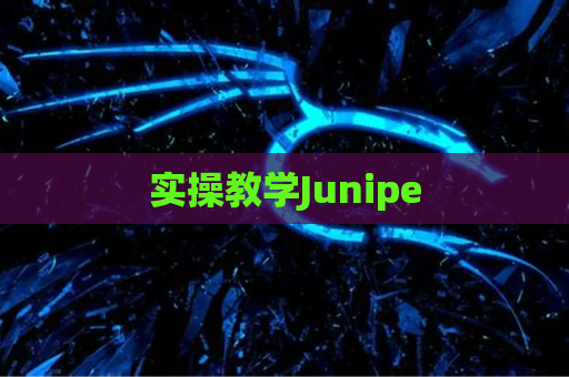 实操教学Junipe