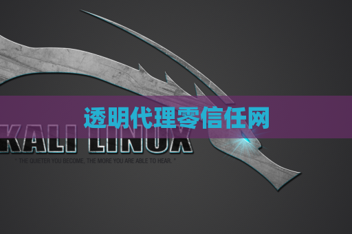 透明代理零信任网