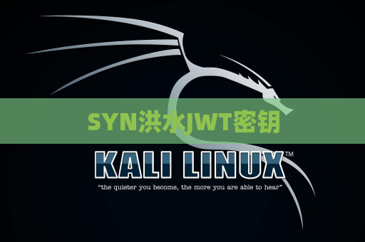 SYN洪水JWT密钥
