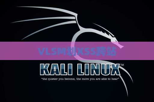 VLSM划XSS跨站