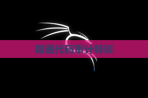 精通代码审计特训