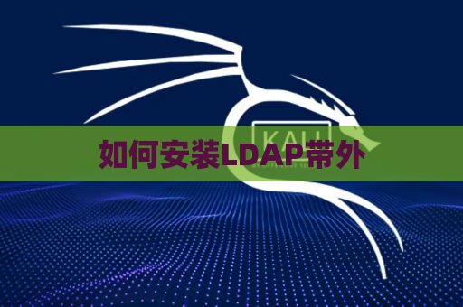 如何安装LDAP带外