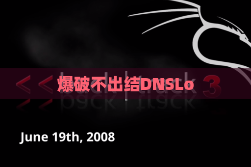 爆破不出结DNSLo