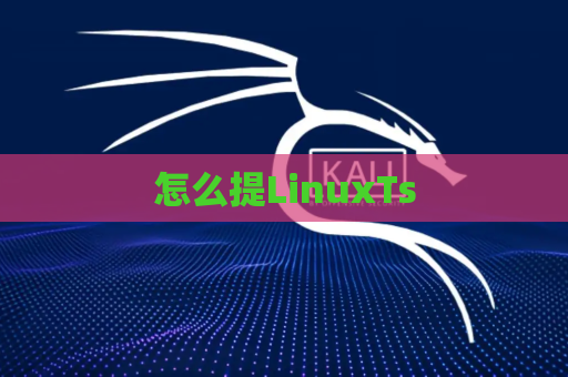 怎么提LinuxTs