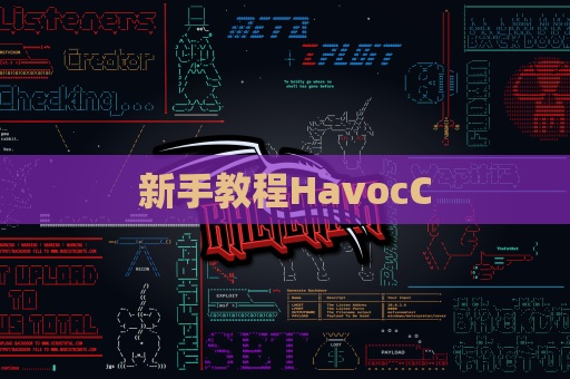新手教程HavocC