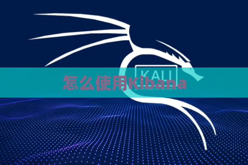 怎么使用Kibana