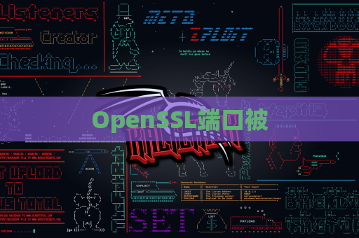 OpenSSL端口被