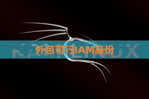 外包可行IAM身份