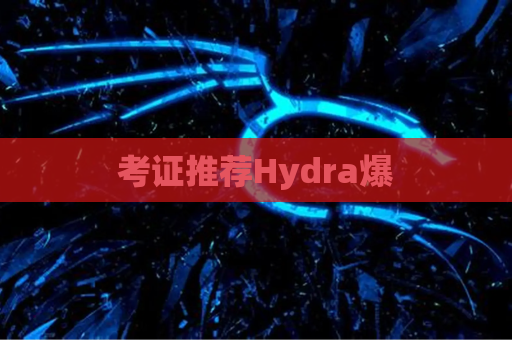 考证推荐Hydra爆