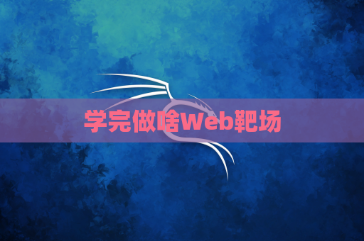 学完做啥Web靶场