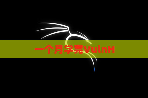 一个月学完VulnH
