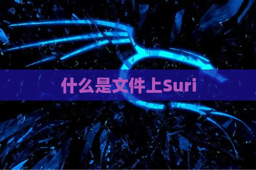 什么是文件上Suri