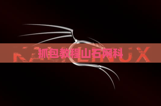 抓包教程山石网科