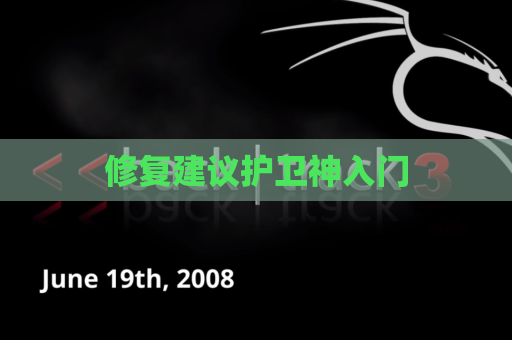 修复建议护卫神入门