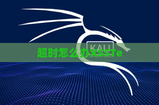 超时怎么办XSSTe